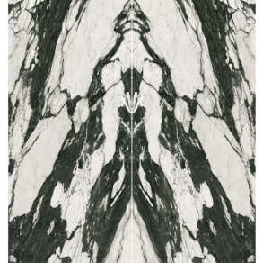 Honed Bookmatch Calacatta Carbone - porcelain countertop